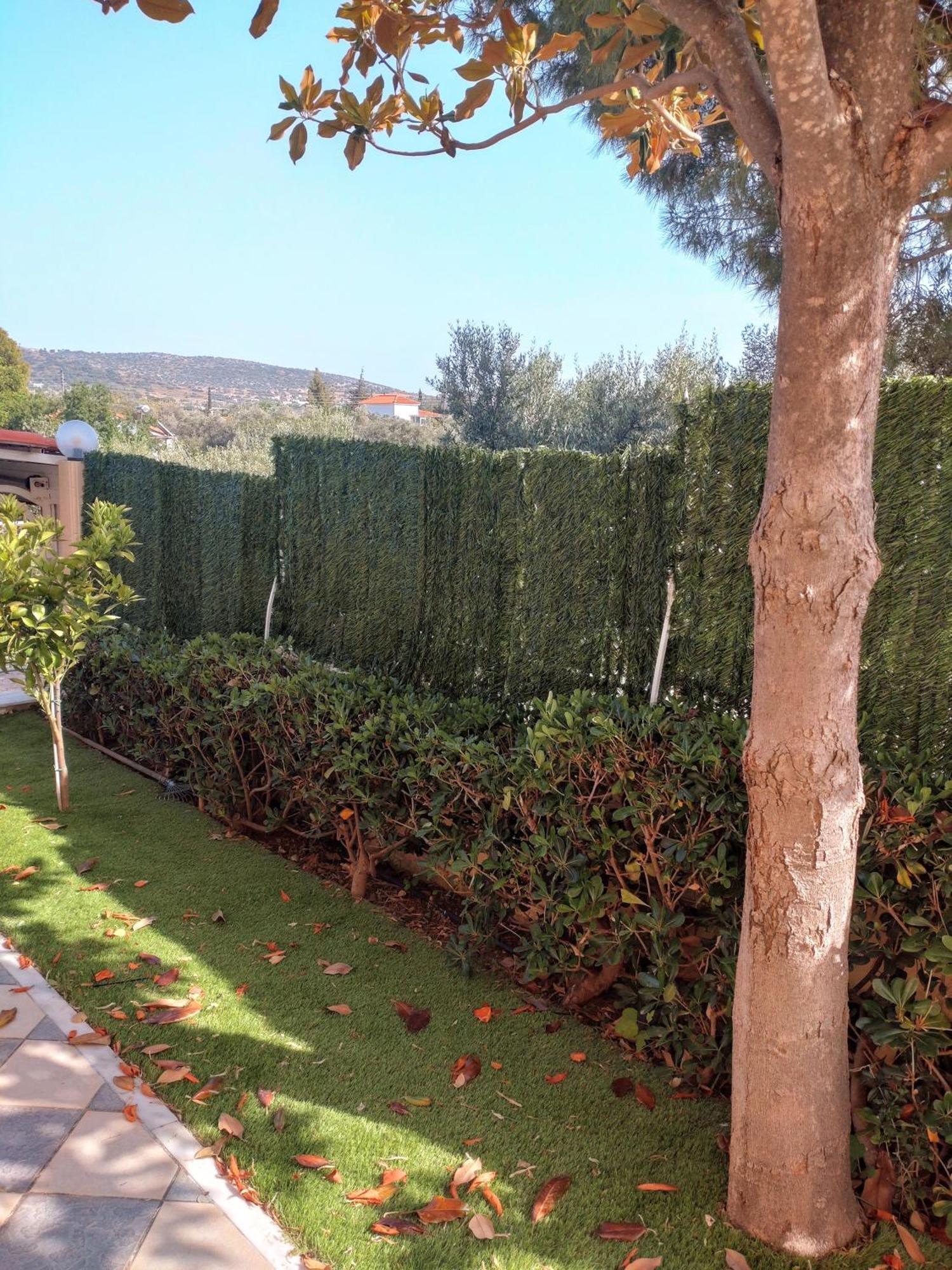 Filoxenia Seasons, Near Airport, Sea, Athens Holiday home