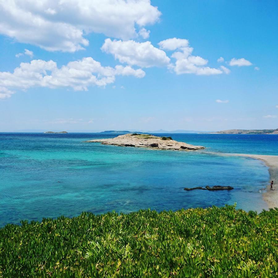 Filoxenia Seasons, Near Airport, Sea, Athens Holiday home *